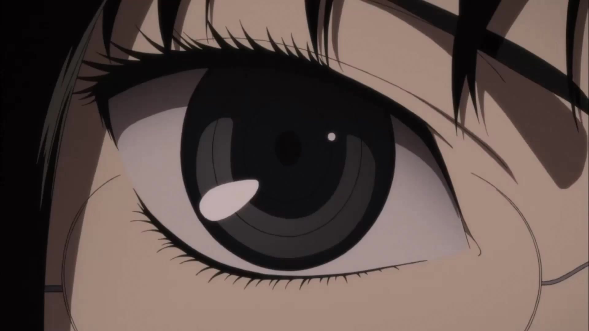 20 (1).mp4